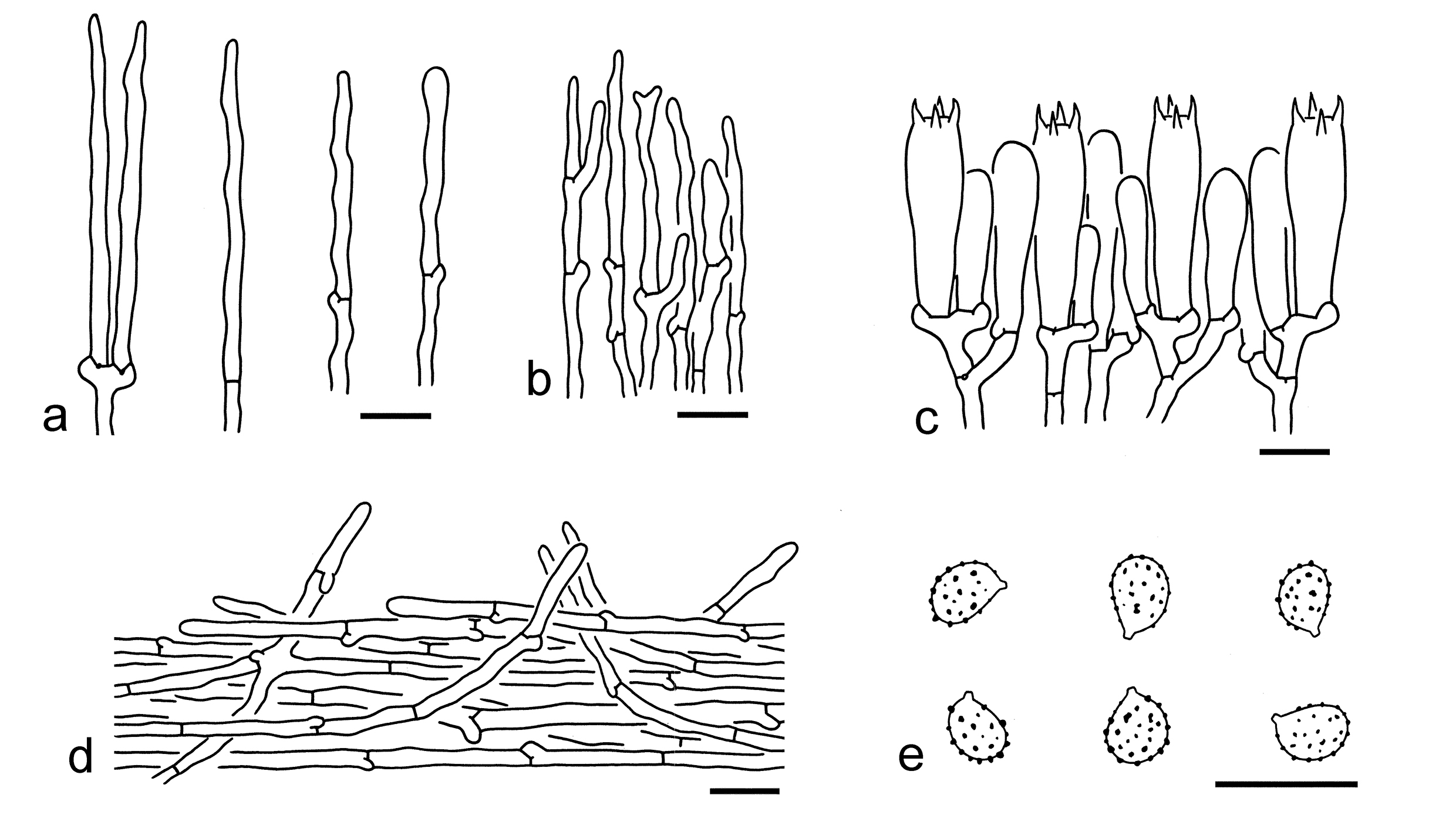 Figure 21